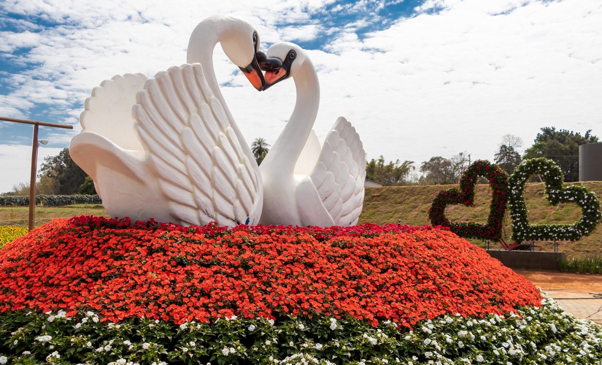 Expoflora 2025 - com visita a Aguas de Lindóia