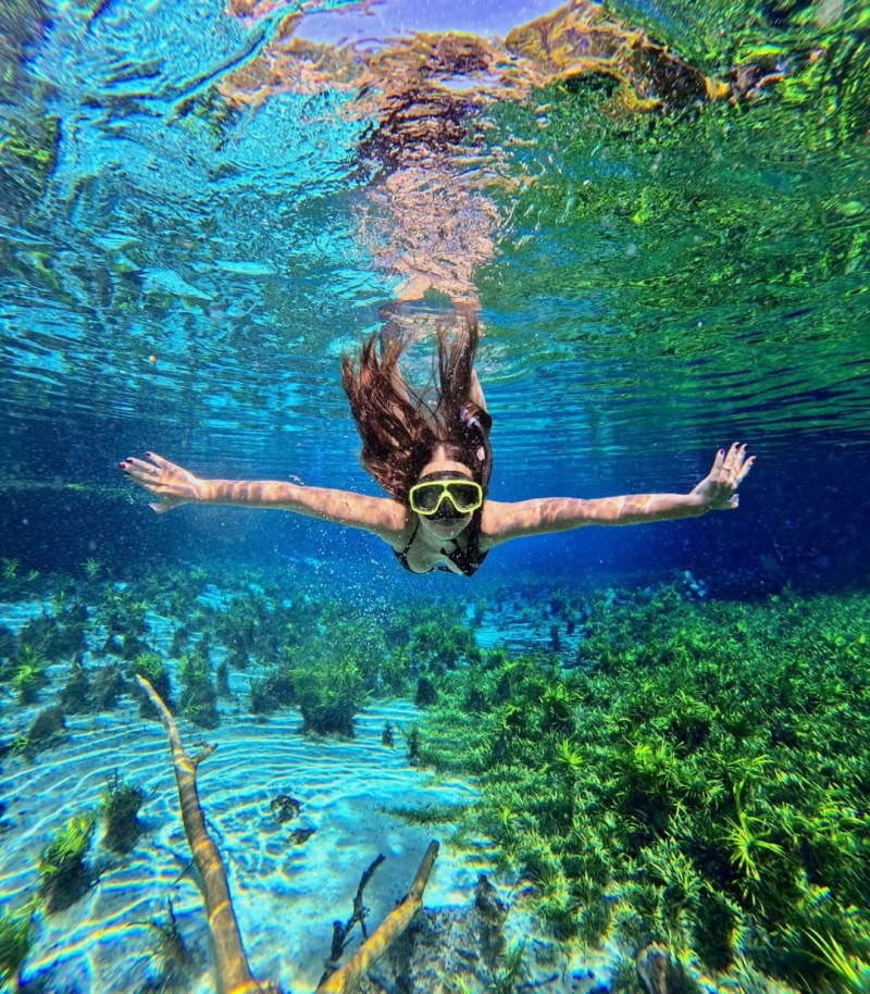 Bonito