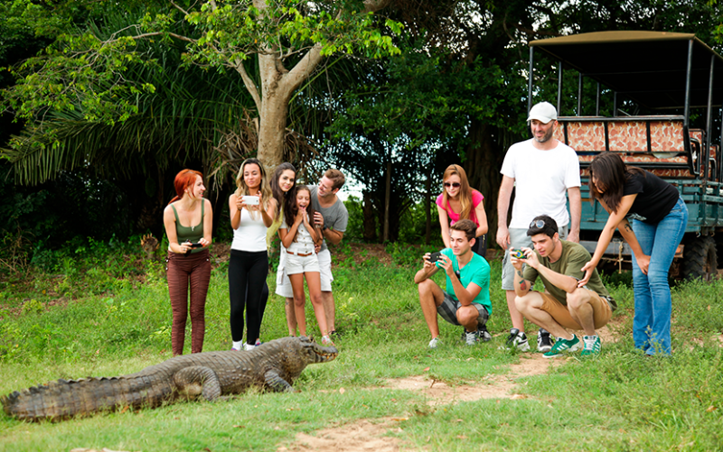 Belezas do Pantanal