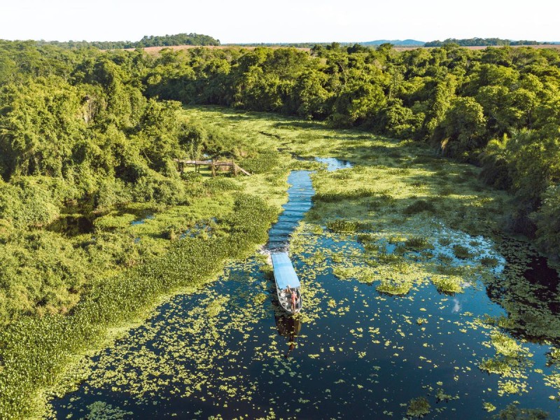 Belezas do Pantanal