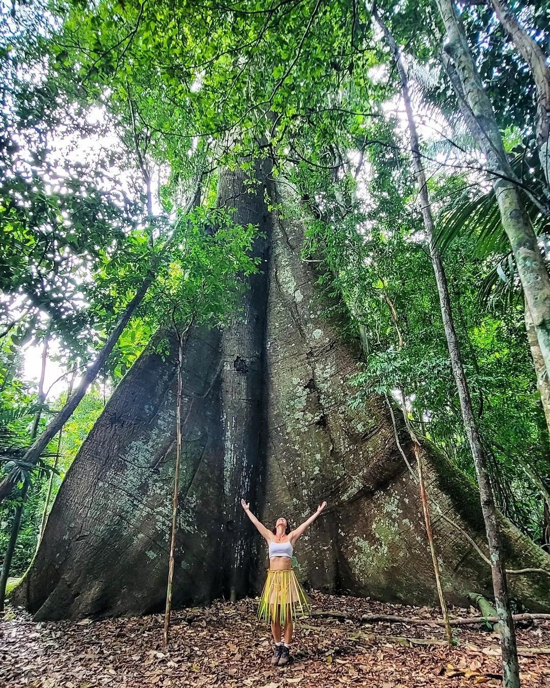 Segredos da Amazônia Brasileira 