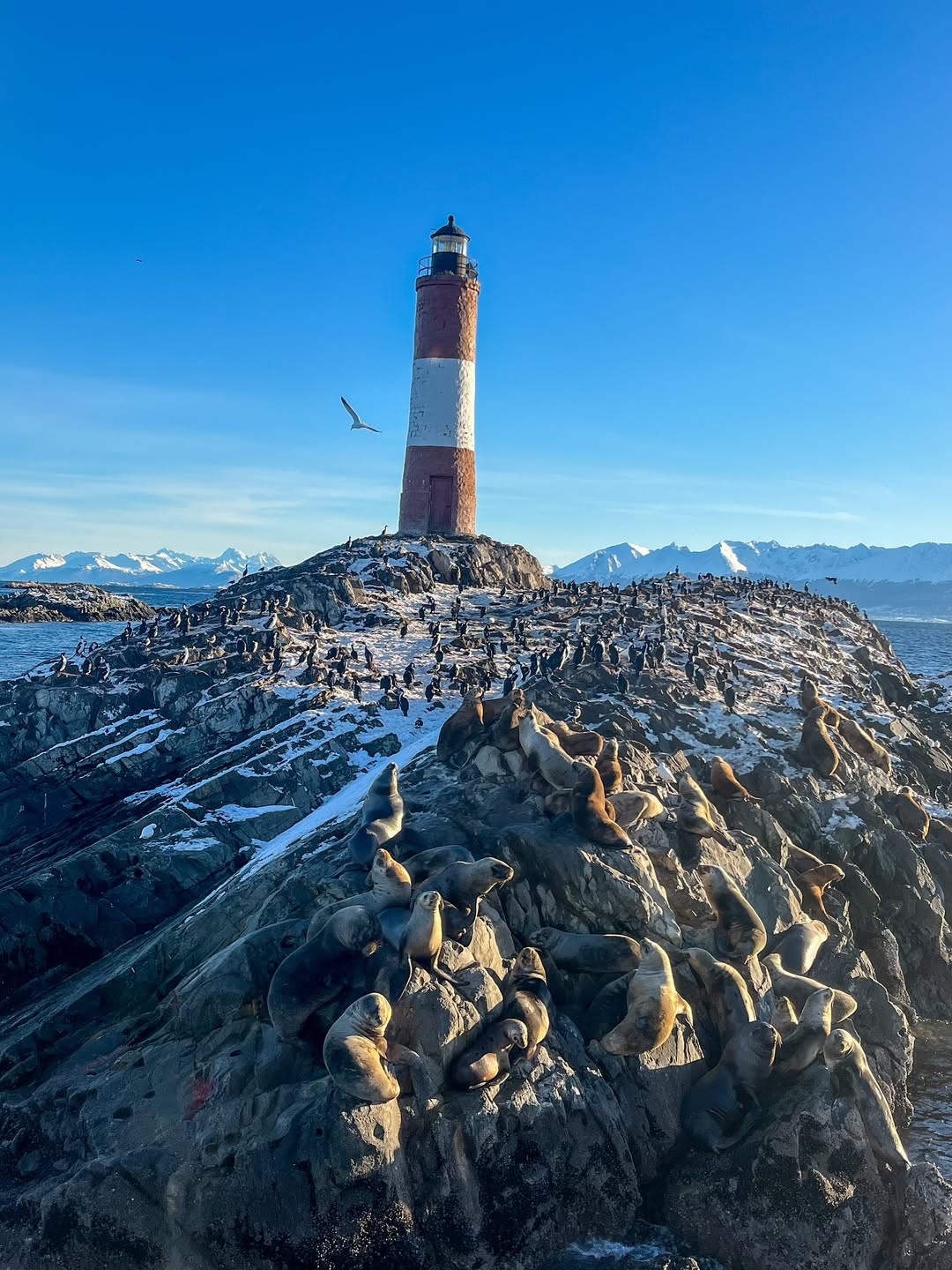 Expedição Patagônia