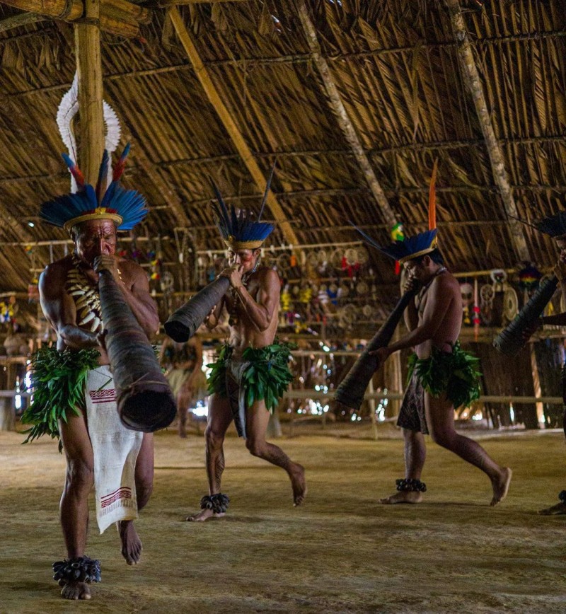 Segredos da Amazônia Brasileira 