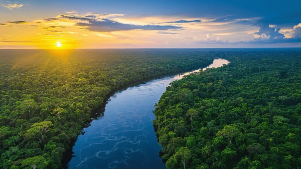 Segredos da Amazônia Brasileira 